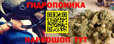 сатива Краснодар