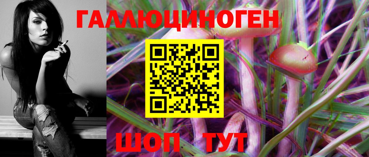 Псилоцибиновые грибы ЛСД Касимов